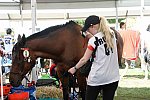 WEG2-Endurance-8-28-14-6531-DDeRosaPhoto