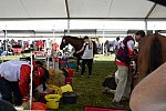 WEG2-Endurance-8-28-14-6533-DDeRosaPhoto