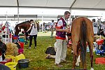 WEG2-Endurance-8-28-14-6534-DDeRosaPhoto