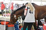 WEG2-Endurance-8-28-14-6560-DDeRosaPhoto