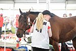 WEG2-Endurance-8-28-14-6562-DDeRosaPhoto