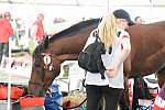 WEG2-Endurance-8-28-14-6563-DDeRosaPhoto