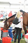 WEG2-Endurance-8-28-14-6575-DDeRosaPhoto