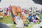 WEG2-Endurance-8-28-14-6579-DDeRosaPhoto