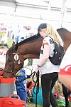 WEG2-Endurance-8-28-14-6592-DDeRosaPhoto