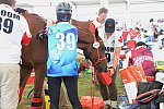WEG2-Endurance-8-28-14-6597-DDeRosaPhoto
