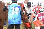WEG2-Endurance-8-28-14-6598-DDeRosaPhoto