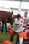 WEG2-Endurance-8-28-14-6607-DDeRosaPhoto
