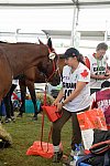 WEG2-Endurance-8-28-14-6609-DDeRosaPhoto