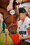 WEG2-Endurance-8-28-14-6620-DDeRosaPhoto
