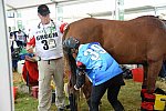 WEG2-Endurance-8-28-14-6626-DDeRosaPhoto
