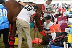 WEG2-Endurance-8-28-14-6639-DDeRosaPhoto