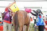 WEG2-Endurance-8-28-14-6655-DDeRosaPhoto