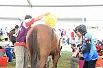 WEG2-Endurance-8-28-14-6660-DDeRosaPhoto