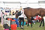 WEG2-Endurance-8-28-14-6664-DDeRosaPhoto