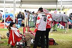 WEG2-Endurance-8-28-14-6794-DDeRosaPhoto