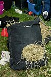 WEG2-Endurance-8-28-14-6804-DDeRosaPhoto