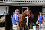 WEG-Endurance-8-24-14-4447-MegSleeper-SyroccoReveille-DDeRosaPhoto
