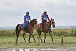 WEG-EnduranceRace-8-28-14-0002207-DDeRosaPhoto