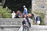 WEG-EnduranceRace-8-28-14-0002243-DDeRosaPhoto