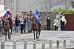 WEG-EnduranceRace-8-28-14-0002254-DDeRosaPhoto