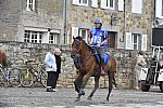 WEG-EnduranceRace-8-28-14-0002266-DDeRosaPhoto