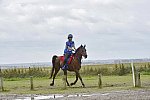WEG-EnduranceRace-8-28-14-0002287-DDeRosaPhoto