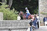 WEG-EnduranceRace-8-28-14-0002322-DDeRosaPhoto