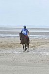 WEG-EnduranceRace-8-28-14-0003835-DDeRosaPhoto