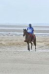 WEG-EnduranceRace-8-28-14-0003837-DDeRosaPhoto