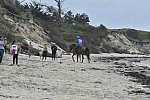 WEG-EnduranceRace-8-28-14-0003912-DDeRosaPhoto
