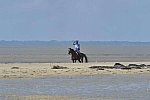 WEG-EnduranceRace-8-28-14-0003357-DDeRosaPhoto