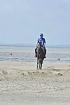 WEG-EnduranceRace-8-28-14-0003636-DDeRosaPhoto