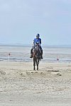 WEG-EnduranceRace-8-28-14-0003639-DDeRosaPhoto