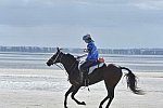 WEG-EnduranceRace-8-28-14-0003677-DDeRosaPhoto