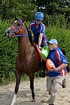 WEG-Endurance-8-24-14-4616-DDeRosaPhoto