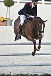 WEG-EventingSJ-8-31-14-0002900-WilliamFox-Pitt-ChilliMorning-GBR-DDeRosaPhoto