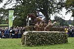 WEG1-Eventing-8-30-14-0008488-WilliamFox-Pitt-ChilliMorning-GBR-DDeRosaPhoto