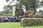 WEG1-Eventing-8-30-14-0008490-WilliamFox-Pitt-ChilliMorning-GBR-DDeRosaPhoto