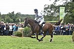 WEG1-Eventing-8-30-14-0008495-WilliamFox-Pitt-ChilliMorning-GBR-DDeRosaPhoto