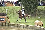 WEG2-Eventing-8-30-14-0000062-SandraAuffarth-OpgunLouvo-DDeRosaPhoto