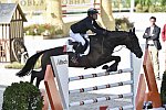 WEG-EventingSJ-8-31-14-0002845-MichaelJung-FischerrocanaFST-GER-DDeRosaPhoto