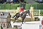 WEG-EventingSJ-8-31-14-0002688-BoydMartin-Shamwari4-USA-DDeRosaPhoto