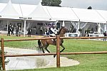 WEG1-Eventing-8-30-14-0007014-BuckDavidsonJr-BallynoeCastleRM-USA-osaPhoto