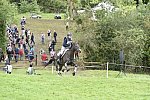 WEG1-Eventing-8-30-14-0008853-KimberlySeverson-FernhillFearless-USA-DDeRosaPhoto