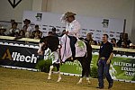 WEG-Reining-8-30-14-0001023-DDeRosaPhoto