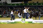 WEG-Reining-8-30-14-DSC7213-DDeRosaPhoto