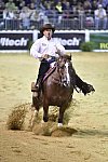WEG-Reining-8-30-14-0000879-AndreaFappani-CustomCashAdvance-USA-DDeRosaPhoto