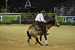 WEG-Reining-8-30-14-0000519-JordanLarson-HFMobster-USA-DDeRosaPhoto