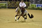 WEG-Reining-8-30-14-0000539-JordanLarson-HFMobster-USA-DDeRosaPhoto